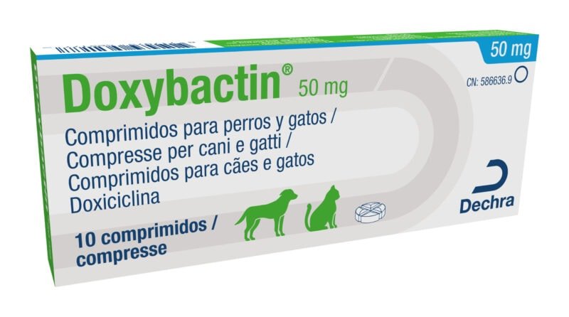 Doxybactin