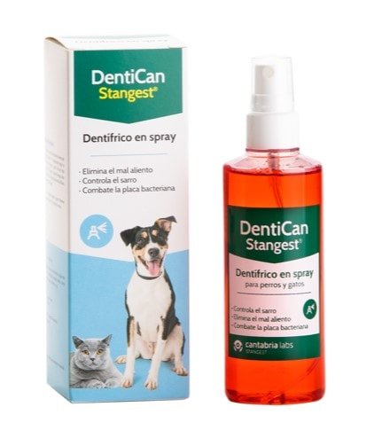 DENTICAN SPRAY DENTAL 125ML