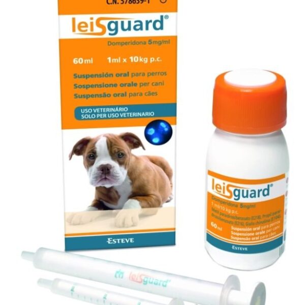 LEISGUARD