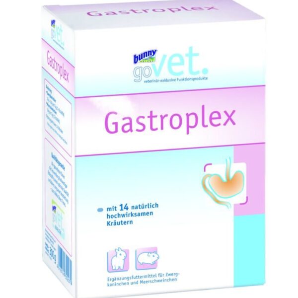 BUNNY GOVET GASTROPLEX