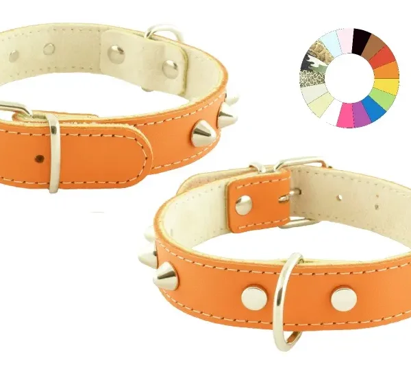 Collar mountain co1f am: elegancia y resistencia para mascotas activas
