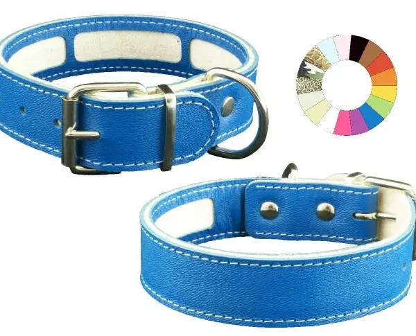 Collar carrier mimt 27-35 l350 a30: innovador y versátil para mascotas