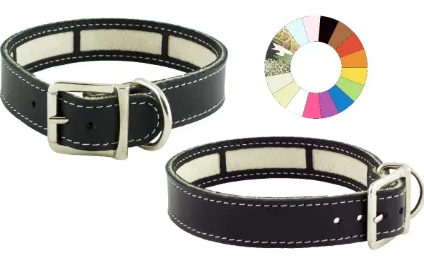 Collar little carrier fluor verde: elegancia y seguridad para tu mascota