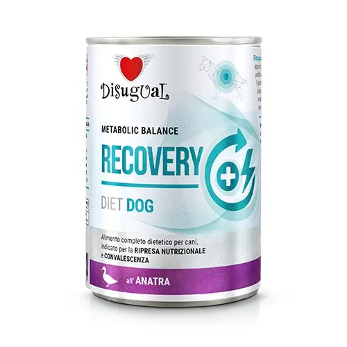 Disugual dieta recuperación para perros - pato 6x400g: nutrición óptima