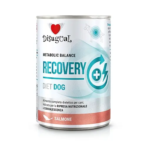 Disugual dieta recuperación para perros con salmón 6x400 gramos - nutrición óptima
