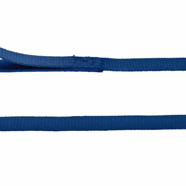Correa de nylon azul para mascotas niq talla m 10/110 - resistente y duradera