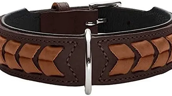 Collar niq el paso cuero cog/ng 60*dx*