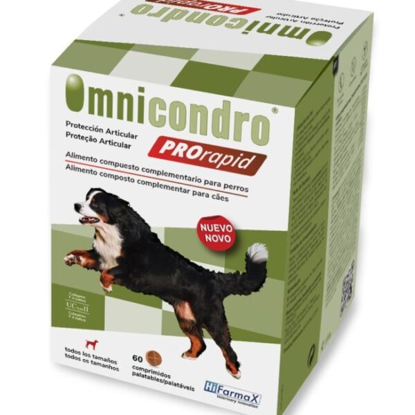 Omnicondro