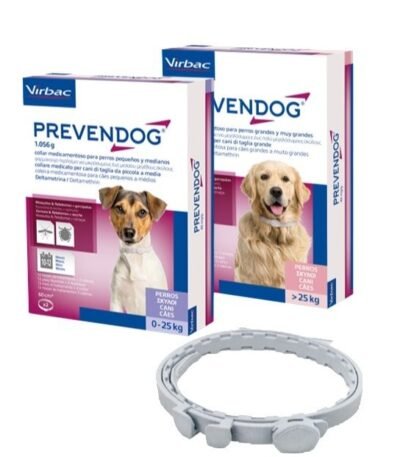 PREVENDOG