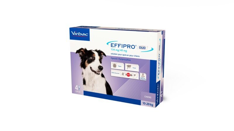 EFFIPRO DUO SPOT ON 4 PIPETAS