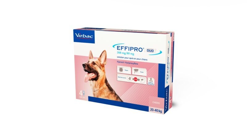 EFFIPRO DUO SPOT ON 4 PIPETAS