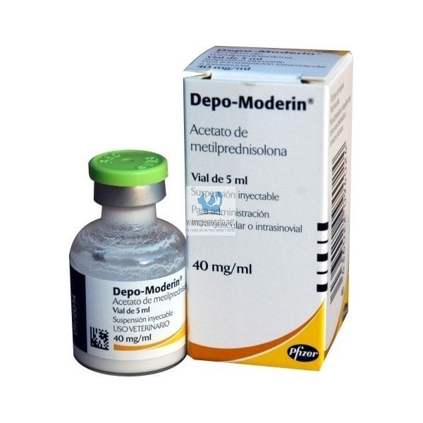 Depo-moderin