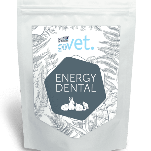 BUNNY GOVET ENERGY DENTAL