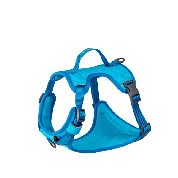 Arnés freedog cool pro tech azul 25mm large para perros grandes - comodidad y estilo