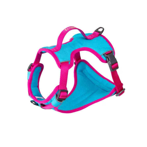 Arnés freedog cool pro tech fucsia 15mm small para perros pequeños