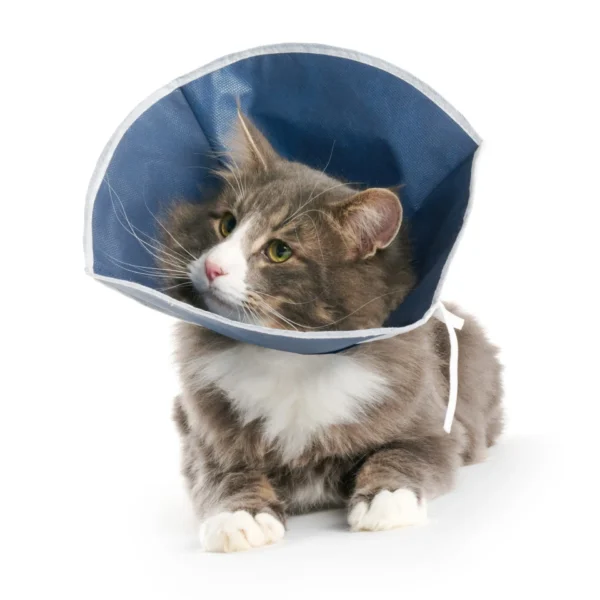 Collar blando para gatos y perros pequeños - pack de 10 unidades kruuse