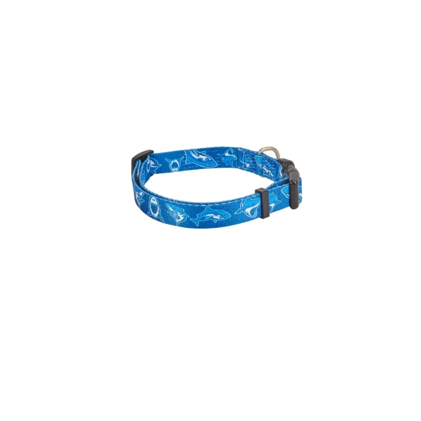 Collar freedog azul tiburón 15mm x 20/50cm t-s para perros - seguridad y estilo