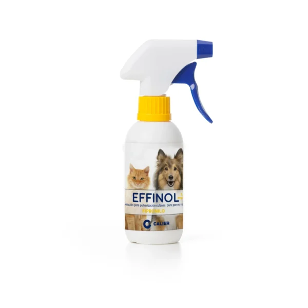 Effinol spray 2,5 mg/ml 250 ml