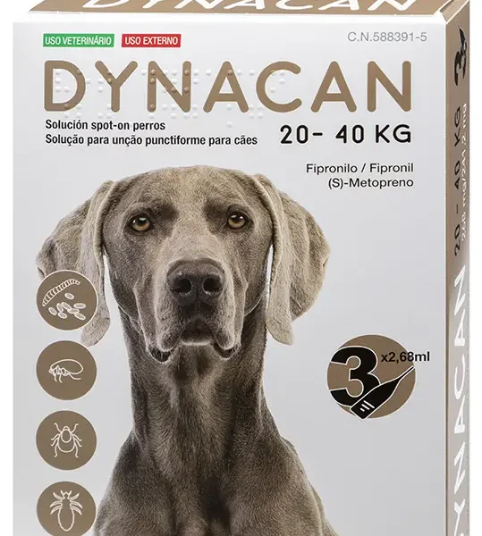 Dynacan perro 20-40kg 3pip
