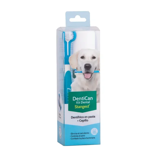 Kit dental cepillo+pasta 100gr