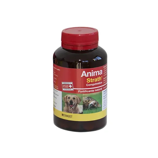 Anima strath 240cpd