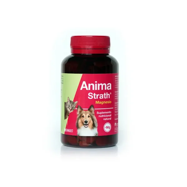 Anima strath magnesio 240 comprimidos