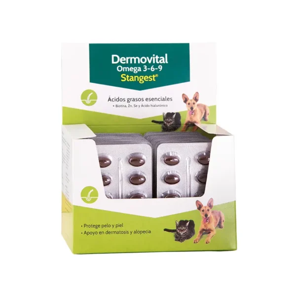 Dermovital omega 3-6-9 blister 300cpd