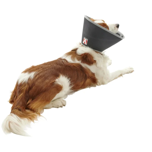 Collar isabelino foam buster 7,5cm 5uds kruuse