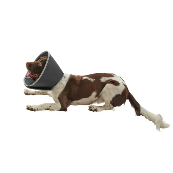Collar isabelino foam buster 30cm 5uds kruuse