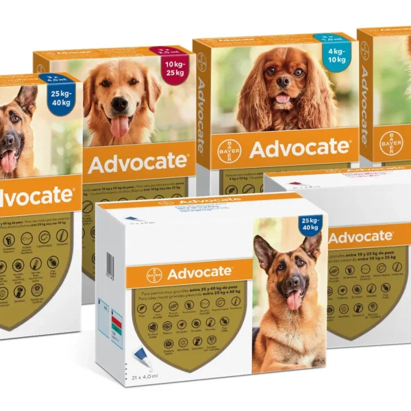 Advocate perros 21pipx0,4ml e.c