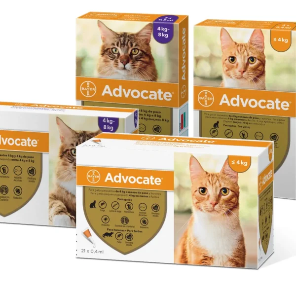 Advocate perros 21x4ml e.c