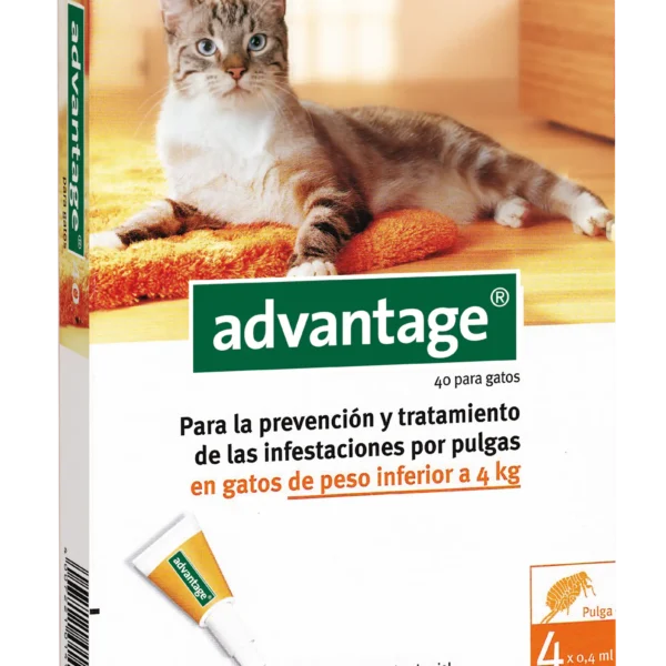 Advantage gato 40mg 0-4kg 4pip