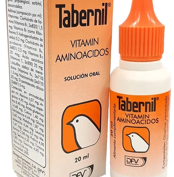 Tabernil vitamin và axit amin 20ml
