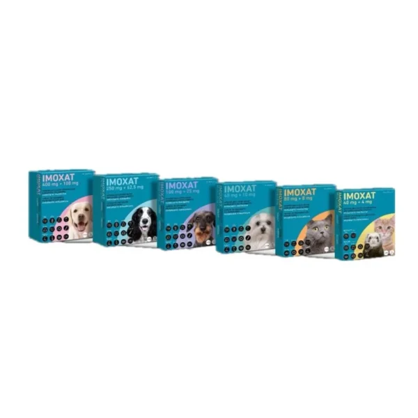 Imoxat 100+25mg (perro mediano) 3 pip