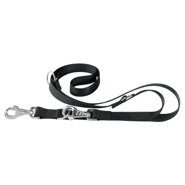 Correa de nylon para perros ferplast club ga20 200 n - resistente y confiable
