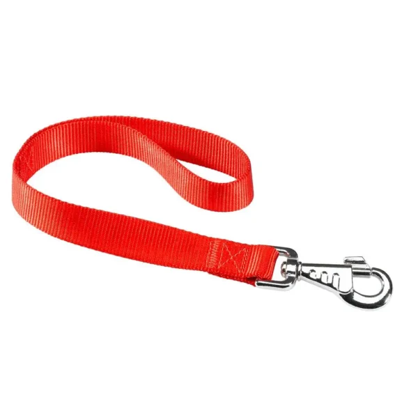 Correa de nylon roja ferplast club gm25 45: resistencia y estilo para tu mascota