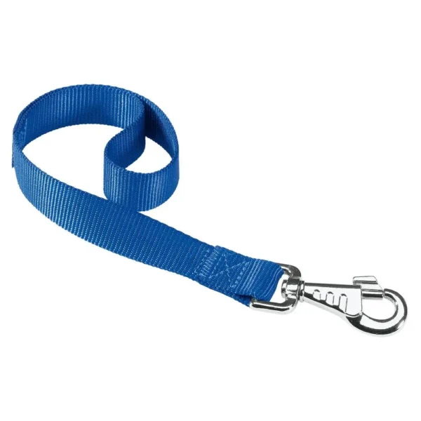 Correa de nylon azul ferplast club gm25 45: resistente y elegante para mascotas