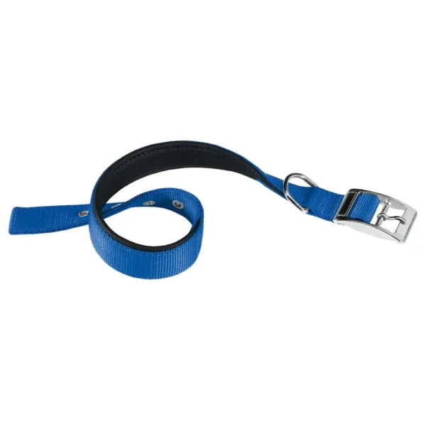 Collar para perros ferplast daytona c40 69 azul - comodidad y estilo