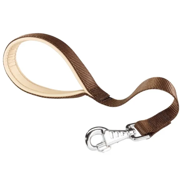 Correa de nylon marrón ferplast daytona gm25 45 para perros - resistente y elegante