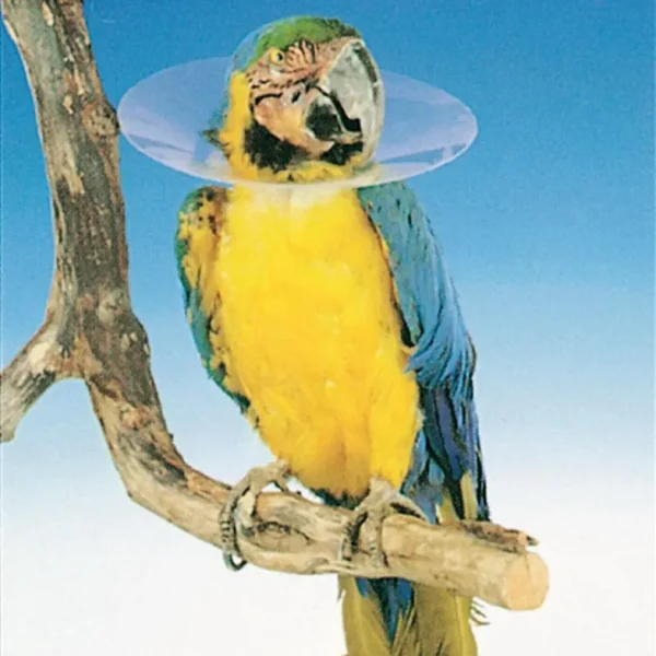 Collar isabelino para aves 1x10ud 20cm kruuse