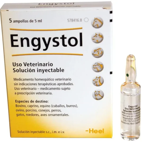 Engystol solucion inyectable 5x5ml  (ndr)