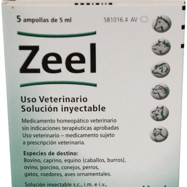 Zeel solucion inyectable 5x5ml (ndr)