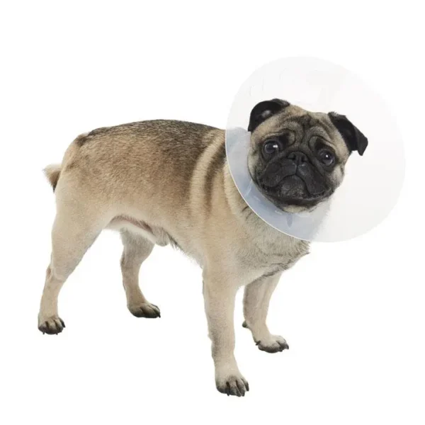 Collar isabelino braquicefalico l 10uds kruuse