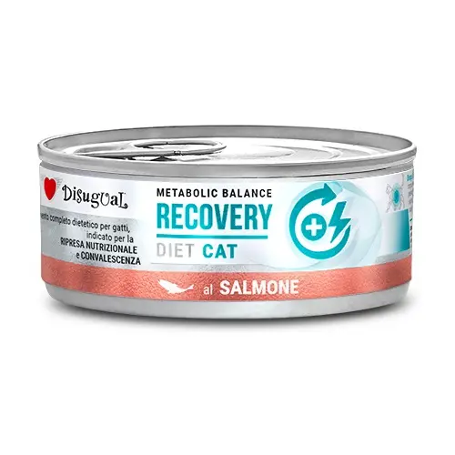 Disugual diet cat recovery salmon 12x85g - nutritious wet food for healthy cats