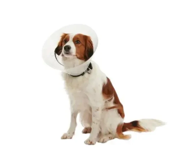 Buster clic collar juego 7,5-30cm 7u kruuse