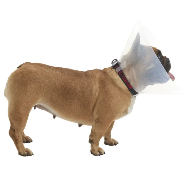 Buster collar brachycephalico juego 2xxs 3xs 3xm 2xl kruuse