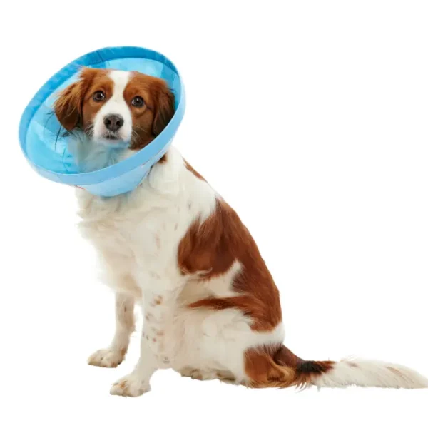 Buster collar soft flex 20cm 5u kruuse