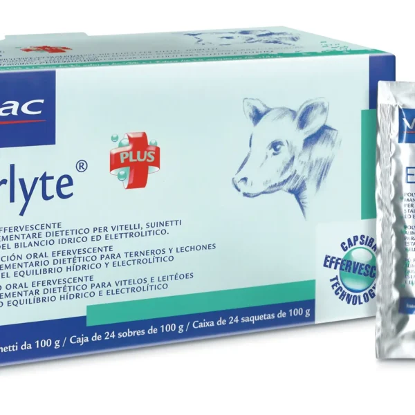 Enerlyte 24*100 gr