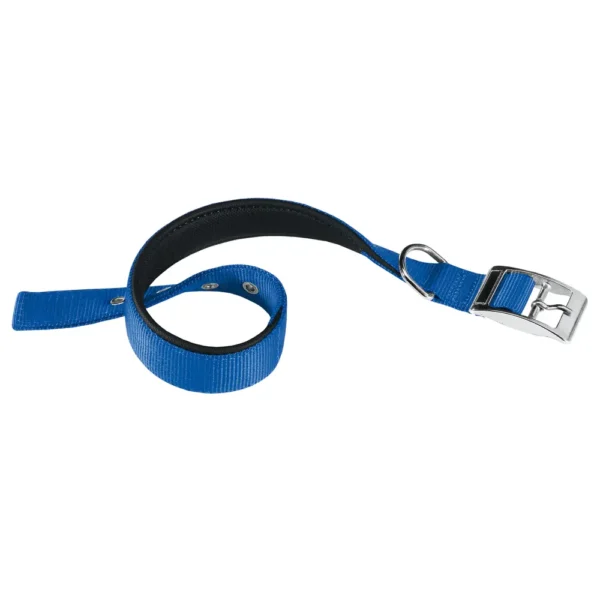Collar para perros ferplast daytona c20 43 azul - comodidad y estilo
