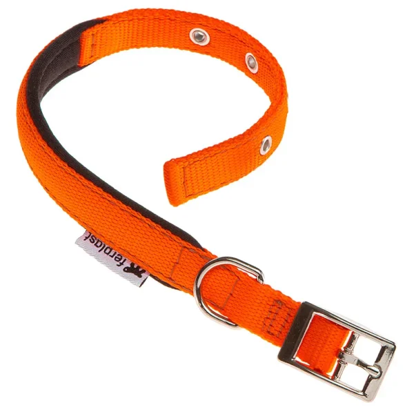 Collar para perros ferplast daytona c20 43 naranja - comodidad y estilo